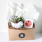 Large Cement Bird Succulent + Signature Candle Gift Box