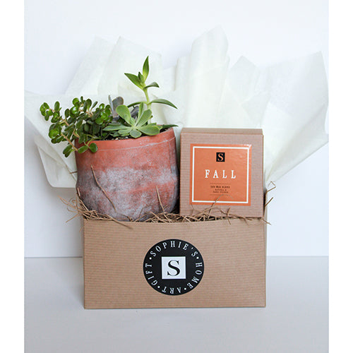 Terra Jar Succulent + Fall Candle