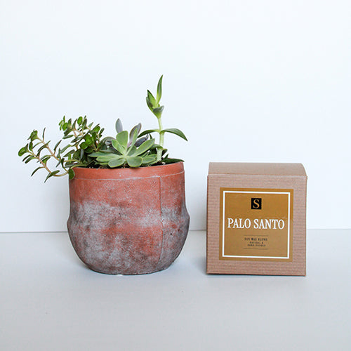 Terra Jar Succulent + Palo Santo Candle