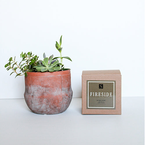 Terra Jar Succulent + Fireside Candle