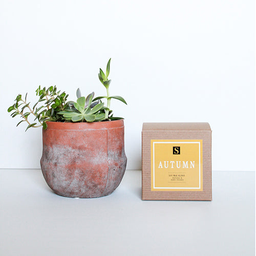 Terra Jar Succulent + Autumn Candle