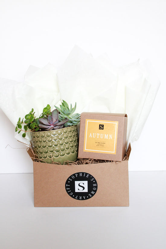 Green Circles Pot Succulent + Autumn Candle Gift Box
