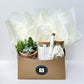 Complete Relaxation and Succulent Gift Box
