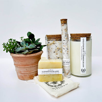 Complete Relaxation and Succulent Gift Box