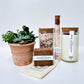Complete Relaxation and Succulent Gift Box