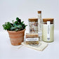 Complete Relaxation and Succulent Gift Box