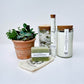 Complete Relaxation and Succulent Gift Box