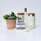 Complete Relaxation and Succulent Gift Box