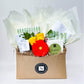 Green Stationery Gift Box