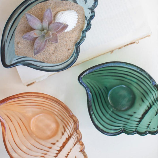 Glass Conch Shell Bowl
