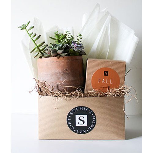 Terra Jar Succulent + Fall Candle