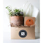 Terra Jar Succulent + Fall Candle