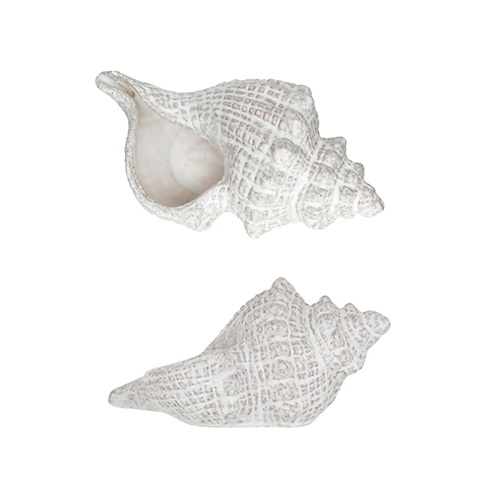 White Stoneware Conch Shell