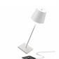 *REGISTRY ITEM: Sage Poldina Pro Cordless Lamp*