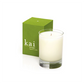 *REGISTRY ITEM: Kai Skylight Candle* PURCHASED