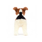 Hector Fox Terrier