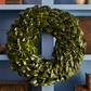 Fresh All Green Magnolia Wreath