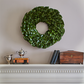Fresh All Green Magnolia Wreath