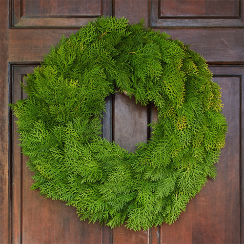 Fresh Simply Cedar Wreath