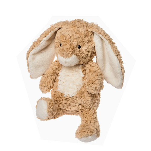 Again Friends Hugo Bunny