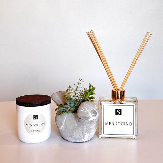 Luxe Mendocino Candle + Bird Succulent Gift Box