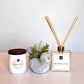 Luxe Mendocino Candle + Bird Succulent Gift Box