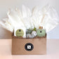 Luxe Napa Candle + Bird Succulent Gift Box