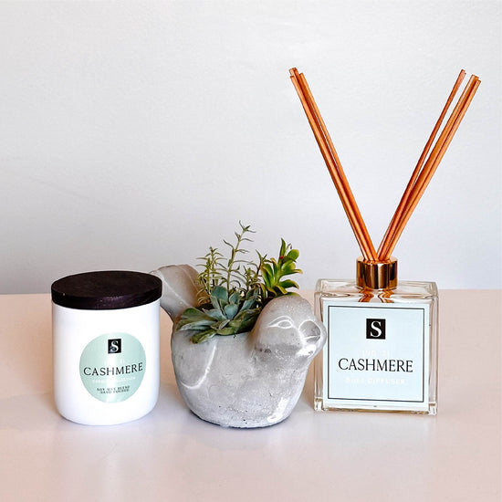 Luxe Cashmere + Bird Succulent Gift Box