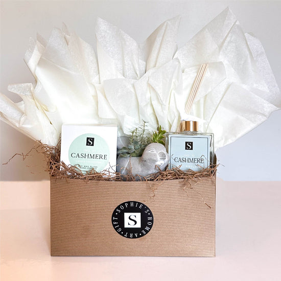 Luxe Cashmere + Bird Succulent Gift Box