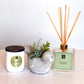 Luxe Napa Candle + Bird Succulent Gift Box