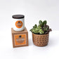 Autumn Signature Candle with Brown Circle Succulent