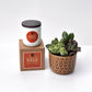 Fall Signature Candle with Brown Circle Succulent