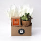 Fall Signature Candle with Brown Circle Succulent