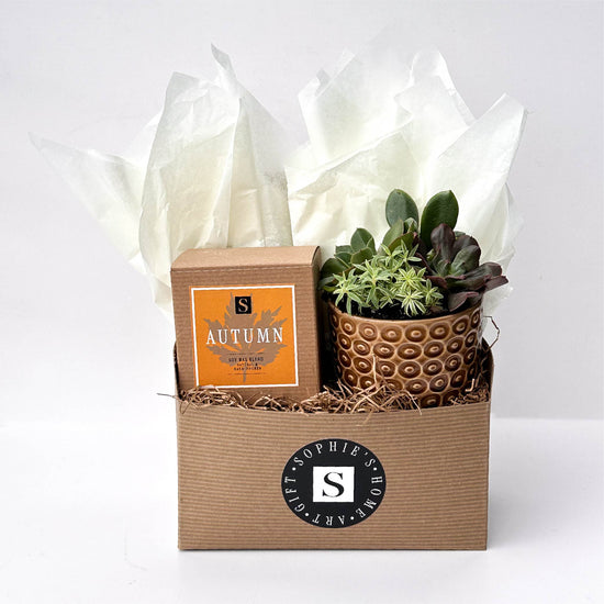 Autumn Signature Candle with Brown Circle Succulent