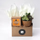 Autumn Signature Candle with Brown Circle Succulent