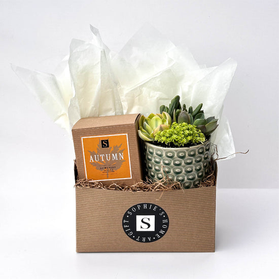 Autumn Signature Candle with Green Circle Succulent
