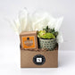 Autumn Signature Candle with Green Circle Succulent