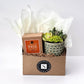 Fall Signature Candle with Green Circle Succulent