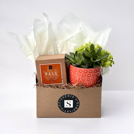 Fall Signature Candle with Orange Circle Succulent