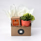 Fall Signature Candle with Orange Circle Succulent