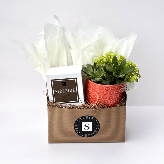 Fireside Signature Candle with Orange Circle Succulent