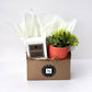 Fireside Signature Candle with Orange Circle Succulent
