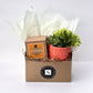 Autumn Signature Candle with Orange Circle Succulent