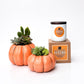 Autumn Signature Candle with Orange Pumpkin Succulent