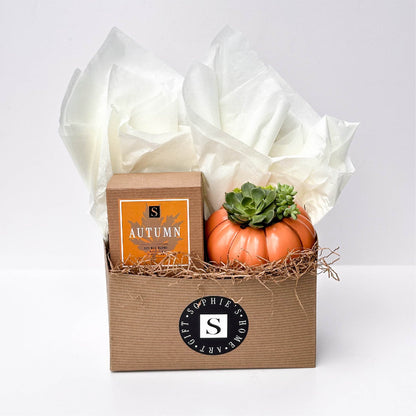 Autumn Signature Candle with Orange Pumpkin Succulent