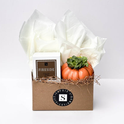 Fireside Signature Candle with Orange Pumpkin Succulent