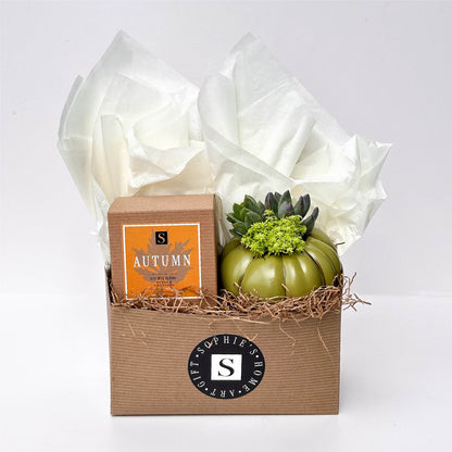 Autumn Signature Candle with Olive Pumpkin Succulent