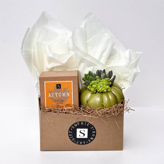 Autumn Signature Candle with Olive Pumpkin Succulent