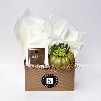 Fireside Signature Candle with Olive Pumpkin Succulent