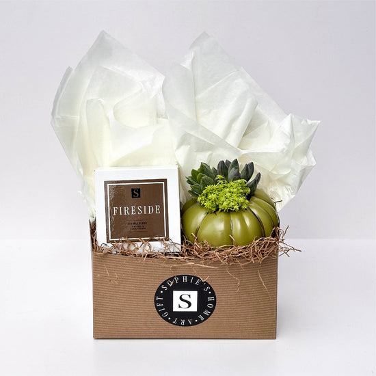 Fireside Signature Candle with Olive Pumpkin Succulent
